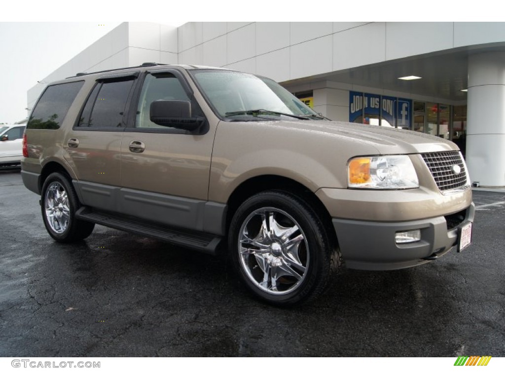 2003 Expedition XLT 4x4 - Arizona Beige Metallic / Medium Parchment photo #1