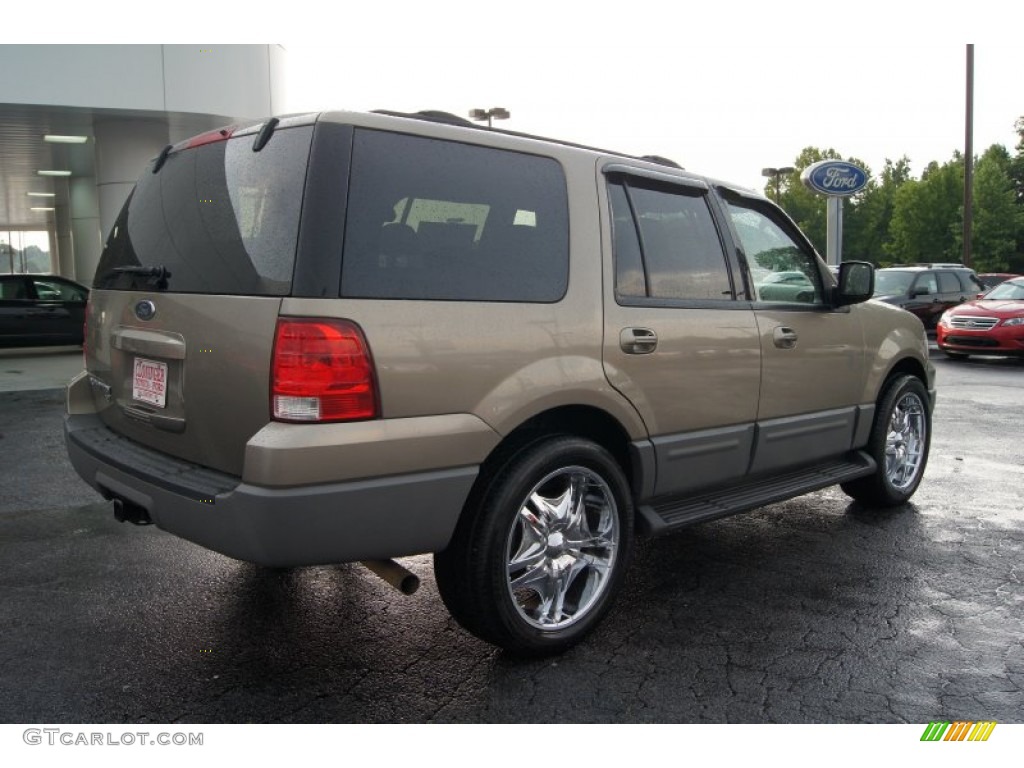 2003 Expedition XLT 4x4 - Arizona Beige Metallic / Medium Parchment photo #3