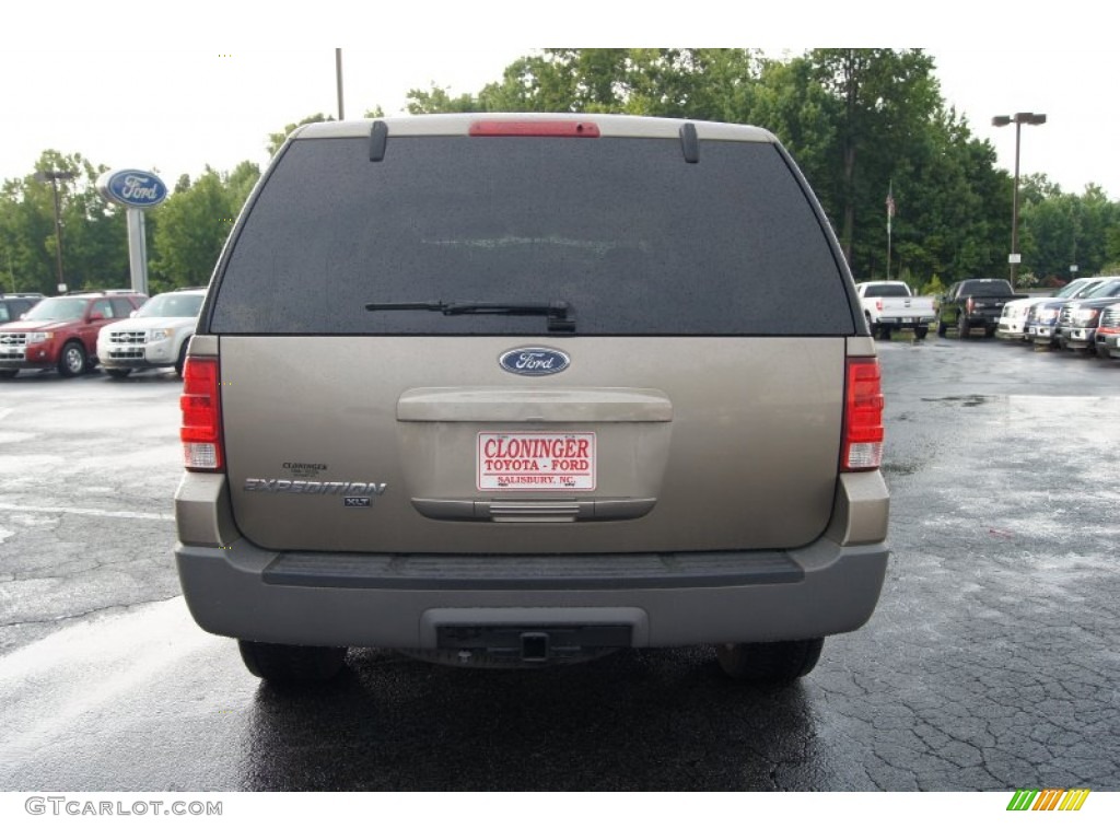 2003 Expedition XLT 4x4 - Arizona Beige Metallic / Medium Parchment photo #4