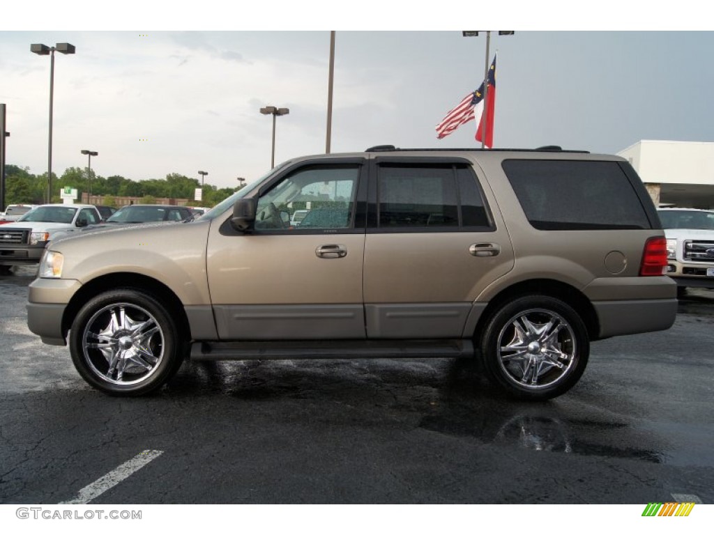 2003 Expedition XLT 4x4 - Arizona Beige Metallic / Medium Parchment photo #5