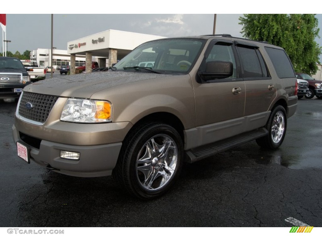 2003 Expedition XLT 4x4 - Arizona Beige Metallic / Medium Parchment photo #6
