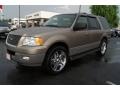 2003 Arizona Beige Metallic Ford Expedition XLT 4x4  photo #6