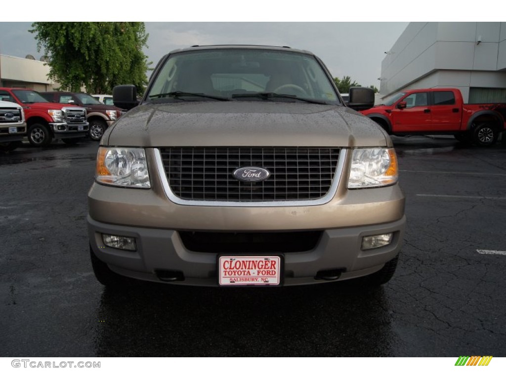 2003 Expedition XLT 4x4 - Arizona Beige Metallic / Medium Parchment photo #7