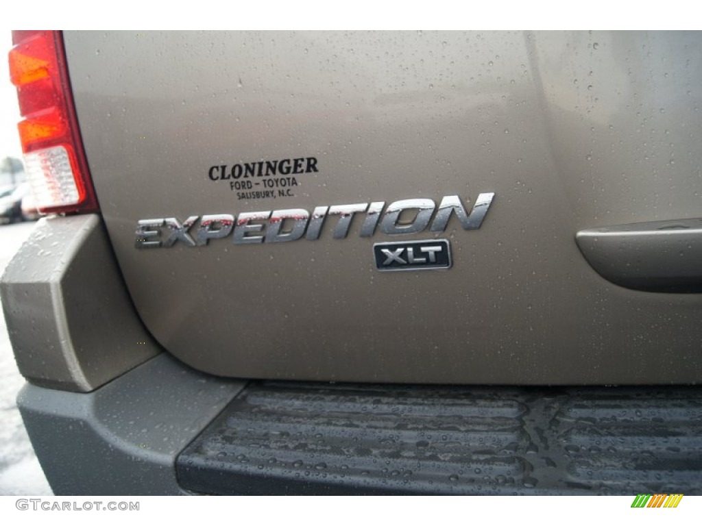 2003 Expedition XLT 4x4 - Arizona Beige Metallic / Medium Parchment photo #19