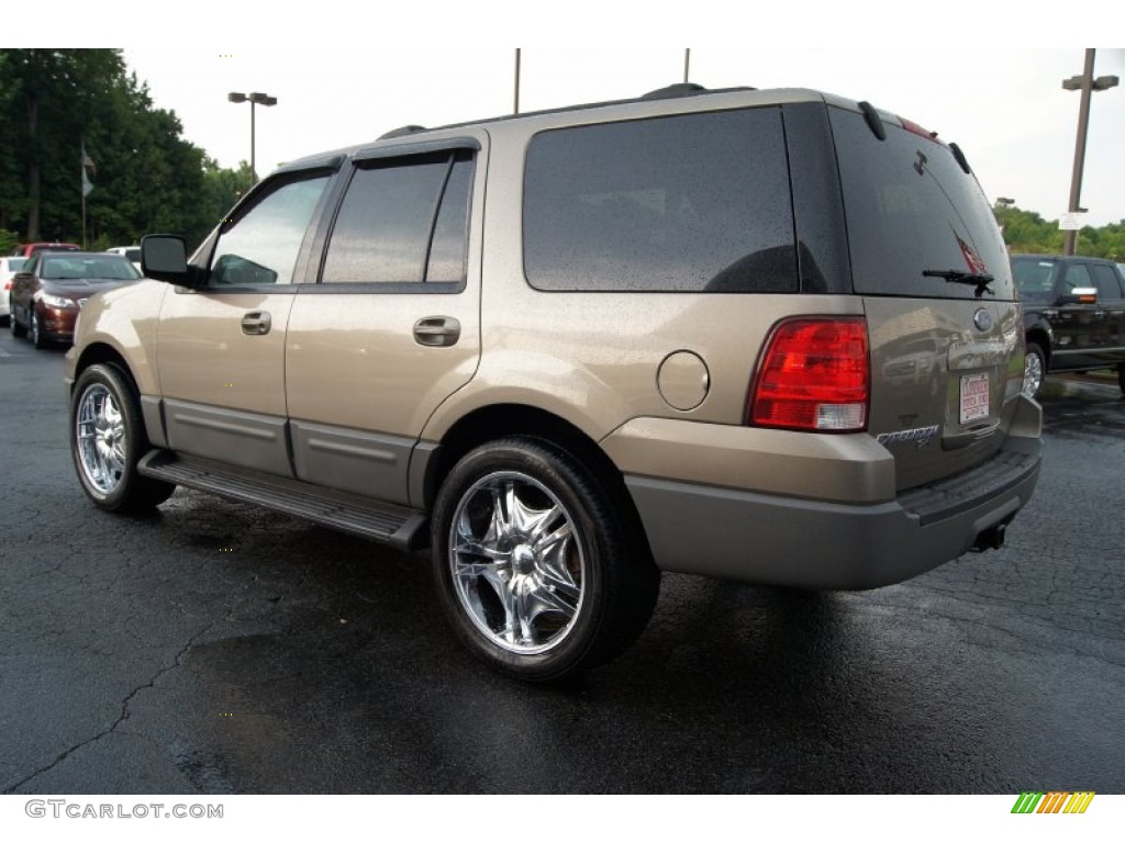 2003 Expedition XLT 4x4 - Arizona Beige Metallic / Medium Parchment photo #40
