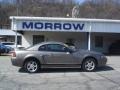 2002 Mineral Grey Metallic Ford Mustang V6 Coupe  photo #1