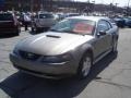 2002 Mineral Grey Metallic Ford Mustang V6 Coupe  photo #6