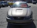 2002 Mineral Grey Metallic Ford Mustang V6 Coupe  photo #7