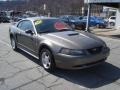 2002 Mineral Grey Metallic Ford Mustang V6 Coupe  photo #8