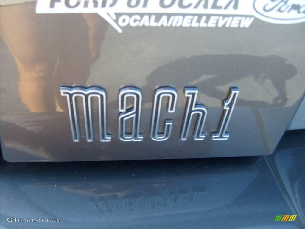 2003 Mustang Mach 1 Coupe - Dark Shadow Grey Metallic / Dark Charcoal photo #10