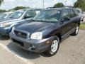 2004 Moonlit Blue Hyundai Santa Fe GLS  photo #3