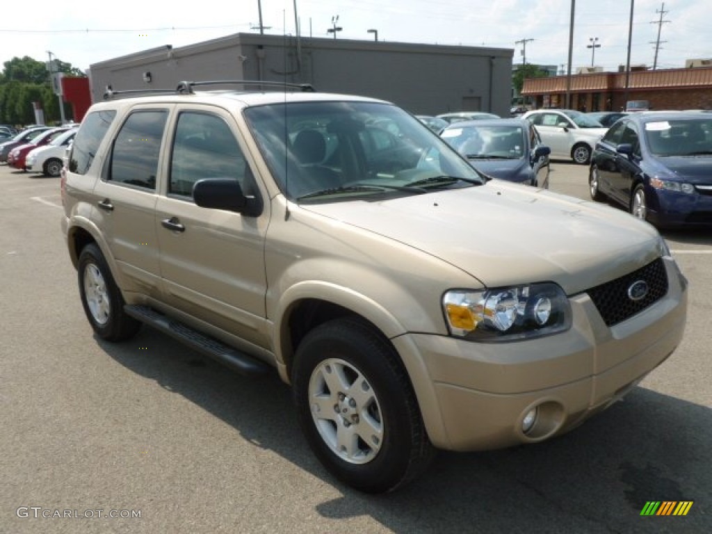 2007 Escape XLT V6 4WD - Dune Pearl Metallic / Medium/Dark Flint photo #1
