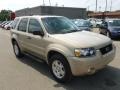 Dune Pearl Metallic 2007 Ford Escape XLT V6 4WD