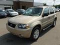 2007 Dune Pearl Metallic Ford Escape XLT V6 4WD  photo #3