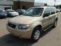 Dune Pearl Metallic - Escape XLT V6 4WD Photo No. 3