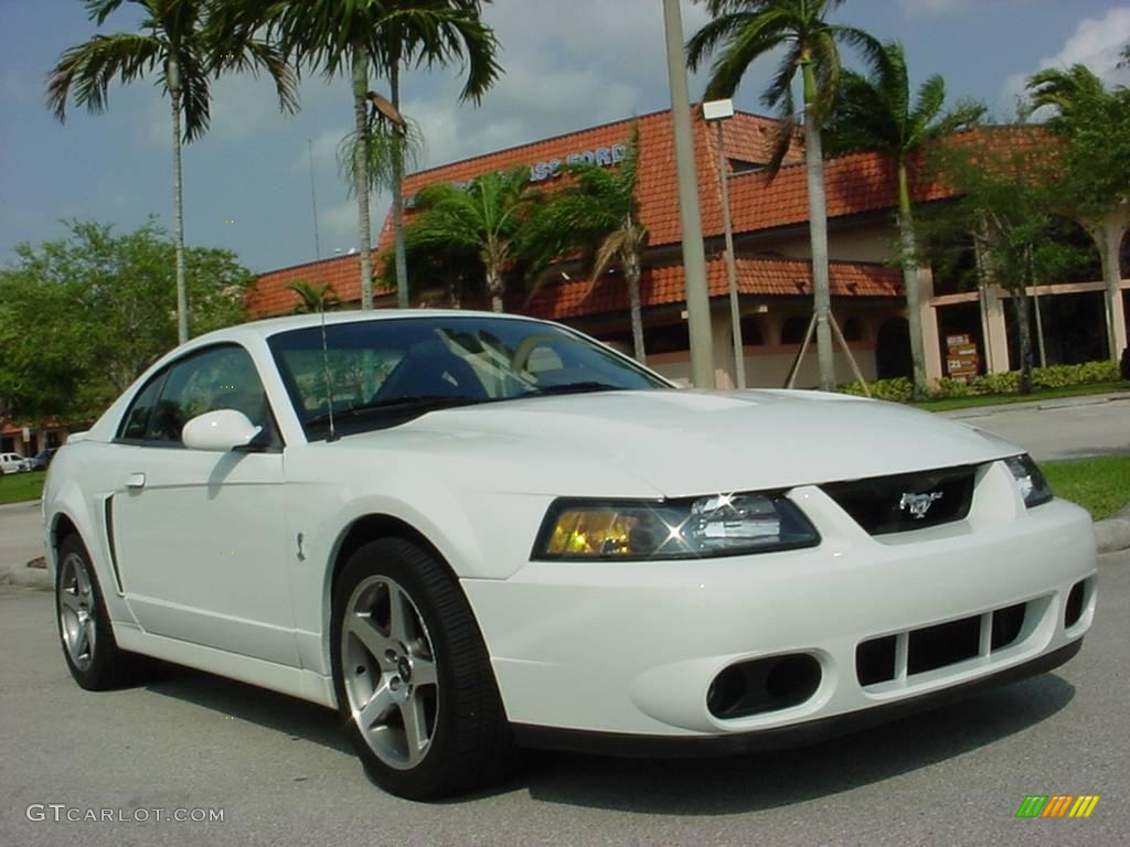 2003 Mustang Cobra Coupe - Oxford White / Dark Charcoal photo #1