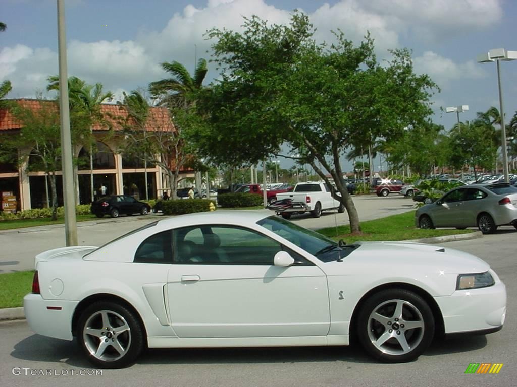 2003 Mustang Cobra Coupe - Oxford White / Dark Charcoal photo #2