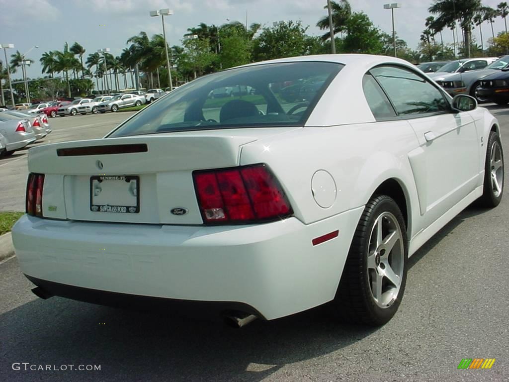 2003 Mustang Cobra Coupe - Oxford White / Dark Charcoal photo #3