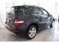 Black - ML 350 4Matic Photo No. 6