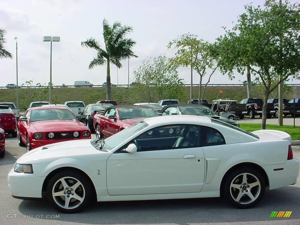 2003 Mustang Cobra Coupe - Oxford White / Dark Charcoal photo #6