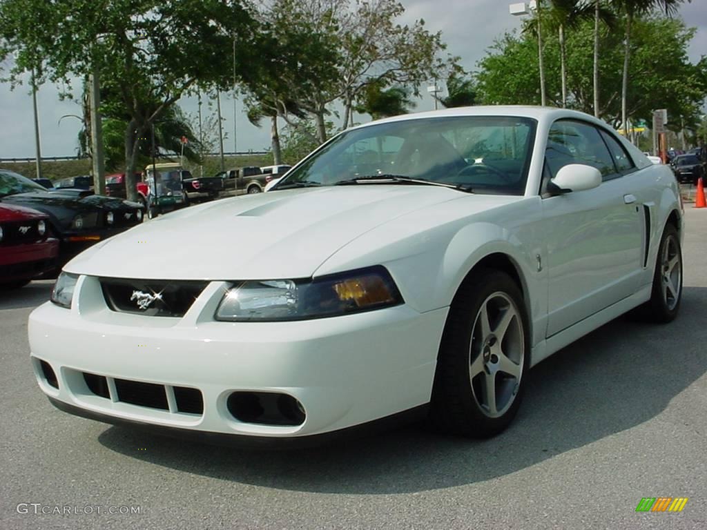 2003 Mustang Cobra Coupe - Oxford White / Dark Charcoal photo #7