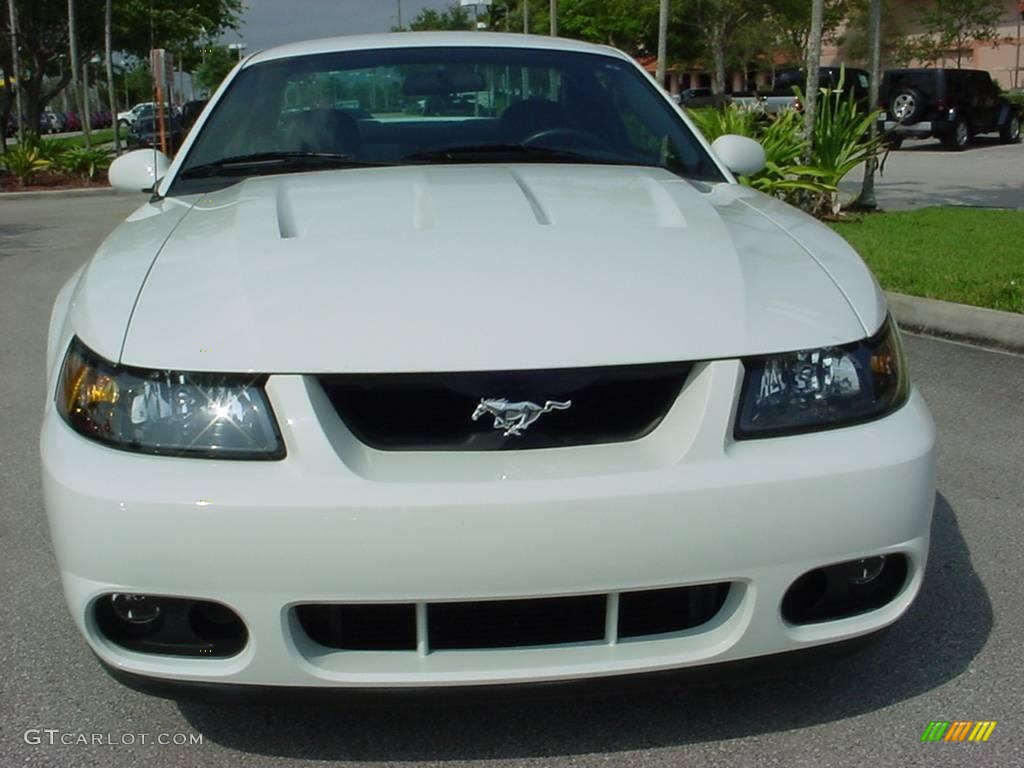 2003 Mustang Cobra Coupe - Oxford White / Dark Charcoal photo #8