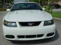 2003 Oxford White Ford Mustang Cobra Coupe  photo #8