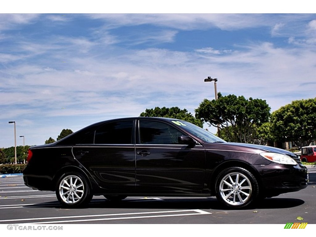 2002 Camry LE - Black Walnut Pearl / Taupe photo #4