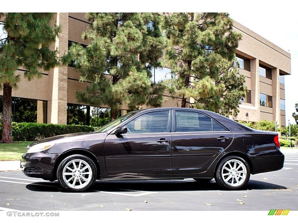 2002 Camry LE - Black Walnut Pearl / Taupe photo #8
