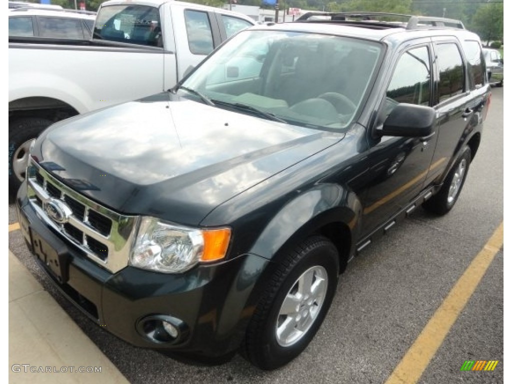 2009 Escape XLT - Sterling Grey Metallic / Stone photo #1