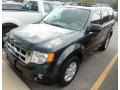 2009 Sterling Grey Metallic Ford Escape XLT  photo #1