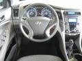 Iridescent Silver Blue Pearl - Sonata GLS Photo No. 23