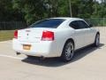 Stone White - Charger R/T Police Photo No. 5