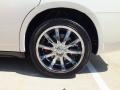Stone White - Charger R/T Police Photo No. 43