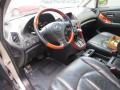 Burnished Gold Metallic - RX 300 Photo No. 11