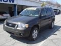 2006 Dark Stone Metallic Ford Escape XLT V6 4WD  photo #2