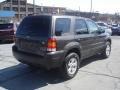 2006 Dark Stone Metallic Ford Escape XLT V6 4WD  photo #6