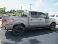 Sterling Gray Metallic 2012 Ford F150 FX4 SuperCrew 4x4 Exterior