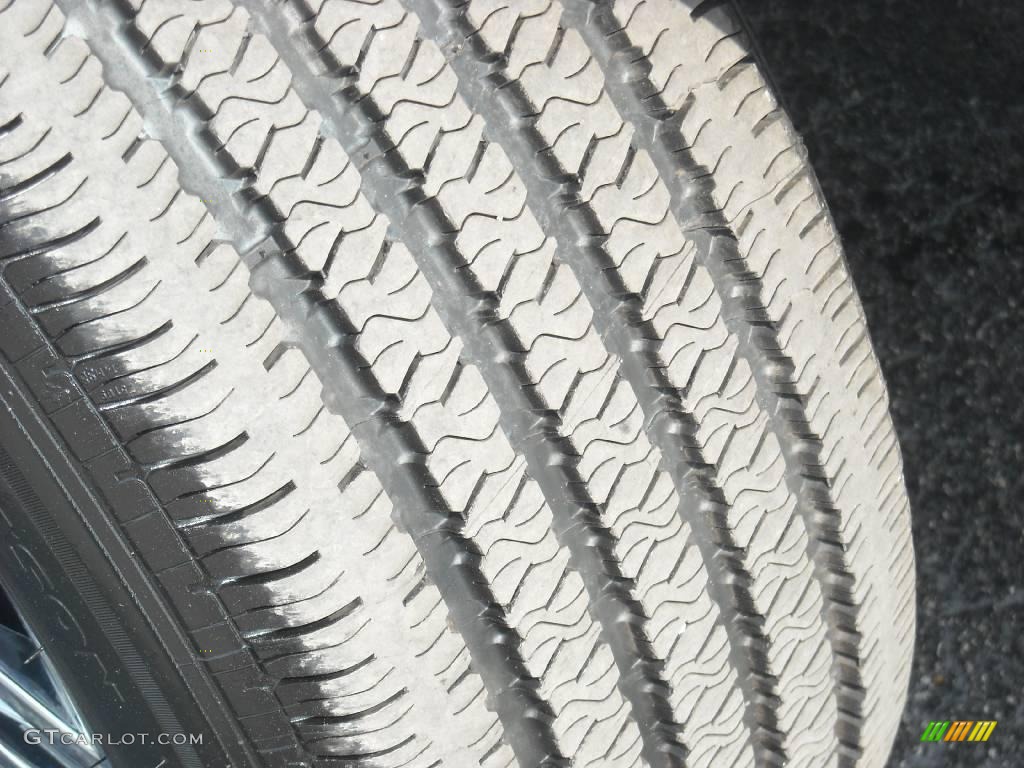 2006 Grand Marquis GS - Silver Birch Metallic / Medium Light Stone photo #10