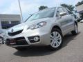 Palladium Silver Metallic 2010 Acura RDX Technology