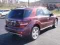 Barolo Red Metallic - ML 350 4Matic Photo No. 15