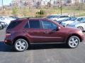 2009 Barolo Red Metallic Mercedes-Benz ML 350 4Matic  photo #17