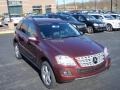 Barolo Red Metallic - ML 350 4Matic Photo No. 19