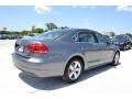 Platinum Gray Metallic - Passat 2.5L SE Photo No. 2