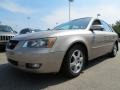 Golden Beige - Sonata GLS V6 Photo No. 1