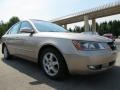 Golden Beige - Sonata GLS V6 Photo No. 4