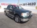 2008 Forest Green Metallic Ford F150 XLT SuperCrew  photo #1