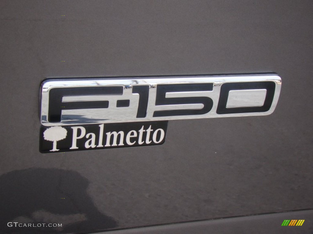 2006 F150 XLT SuperCrew - Dark Shadow Grey Metallic / Medium/Dark Flint photo #27