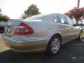 Desert Silver Metallic - E 320 Sedan Photo No. 3