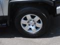 Titanium Metallic - FJ Cruiser 4WD Photo No. 2